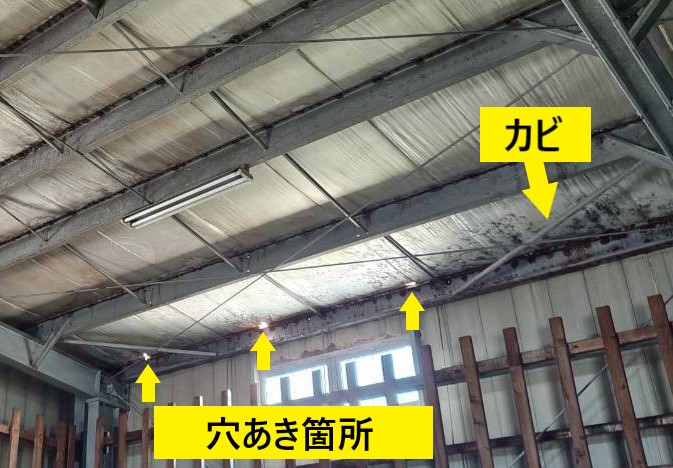 折板屋根の倉庫内　穴あき箇所は光が漏れ、天井には雨漏りによるカビが発生